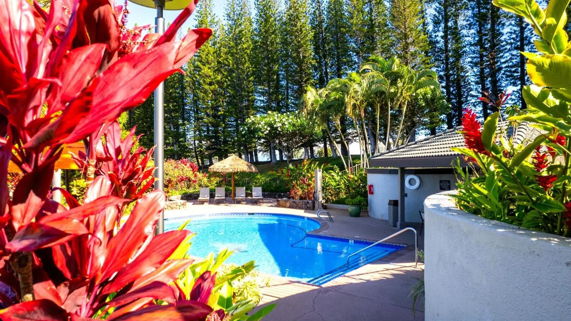 Kbm Resorts - 2 Free Cars - Kapalua Golf Villa - Golf Course View - 2 2-Bedroom Condos Kgv-14P6V3 0*,